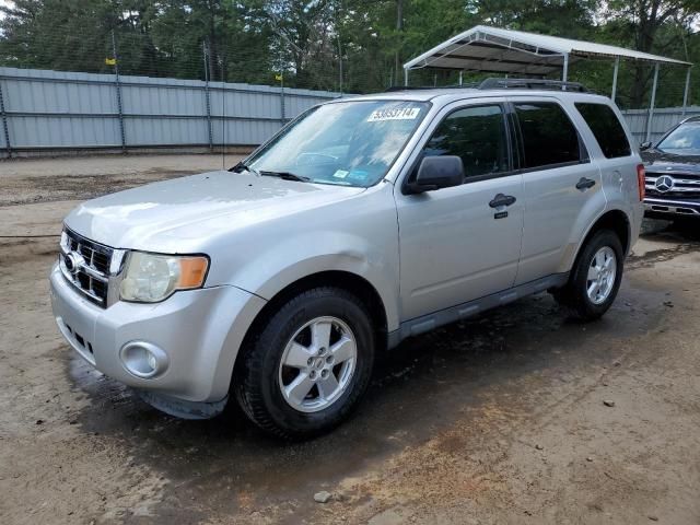 2010 Ford Escape XLT