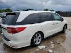 2019 Honda Odyssey EXL