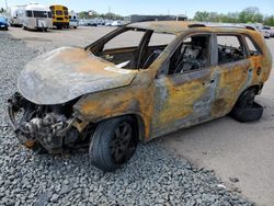 Salvage cars for sale at Ham Lake, MN auction: 2012 KIA Sorento Base