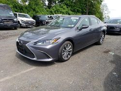 Salvage cars for sale at Marlboro, NY auction: 2021 Lexus ES 250 Base