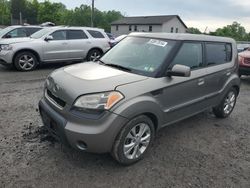 Salvage cars for sale from Copart York Haven, PA: 2010 KIA Soul +