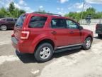 2009 Ford Escape XLT