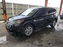 Salvage cars for sale at Homestead, FL auction: 2013 Honda CR-V EX