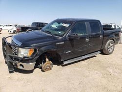 Salvage cars for sale at Amarillo, TX auction: 2012 Ford F150 Supercrew