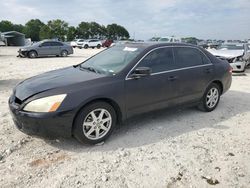 Honda Accord ex salvage cars for sale: 2003 Honda Accord EX