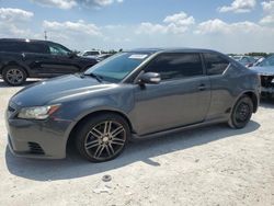 Salvage cars for sale at Arcadia, FL auction: 2012 Scion TC