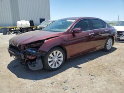 Salvage cars for sale at Tucson, AZ auction: 2014 Honda Accord EXL