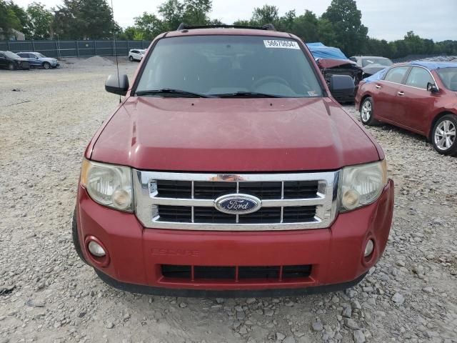 2009 Ford Escape XLT