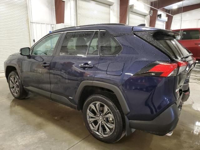 2024 Toyota Rav4 XLE Premium