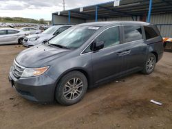 Salvage cars for sale at Colorado Springs, CO auction: 2012 Honda Odyssey EX
