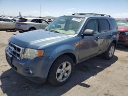 Salvage cars for sale at Albuquerque, NM auction: 2011 Ford Escape XLT