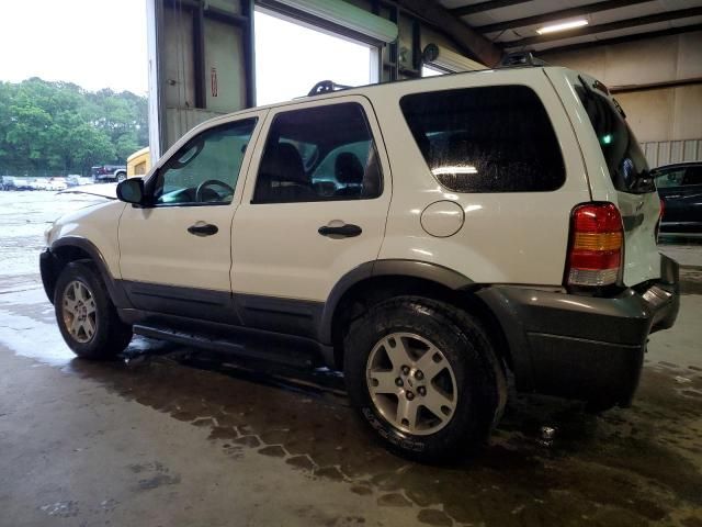 2005 Ford Escape XLT