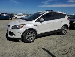 Salvage cars for sale from Copart Antelope, CA: 2014 Ford Escape Titanium