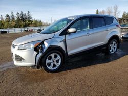 Ford Vehiculos salvage en venta: 2014 Ford Escape SE