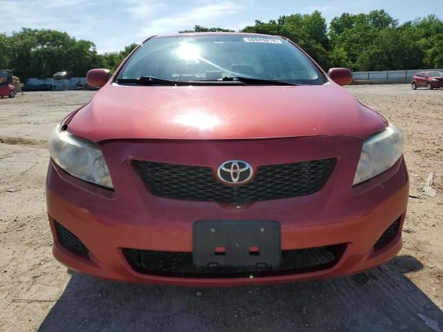 2010 Toyota Corolla Base