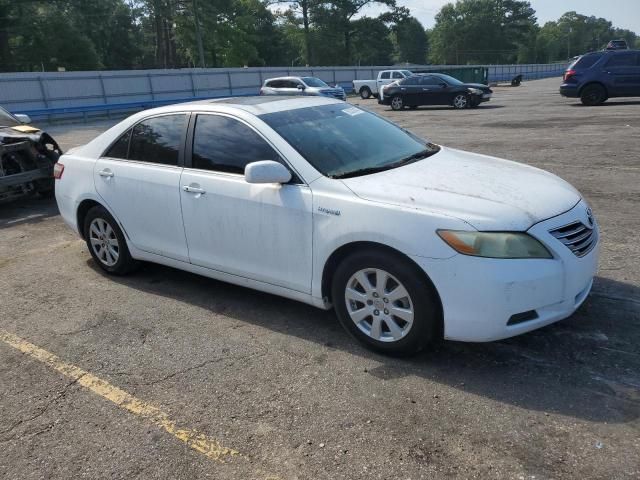 2009 Toyota Camry Hybrid