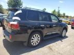 2010 Lexus LX 570