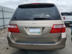 2005 Honda Odyssey EXL