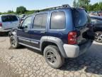 2006 Jeep Liberty Renegade