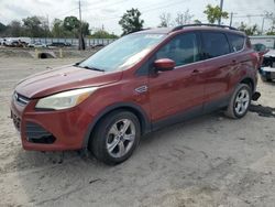 Salvage cars for sale at Riverview, FL auction: 2015 Ford Escape SE