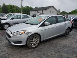 Salvage cars for sale at York Haven, PA auction: 2017 Ford Focus SE