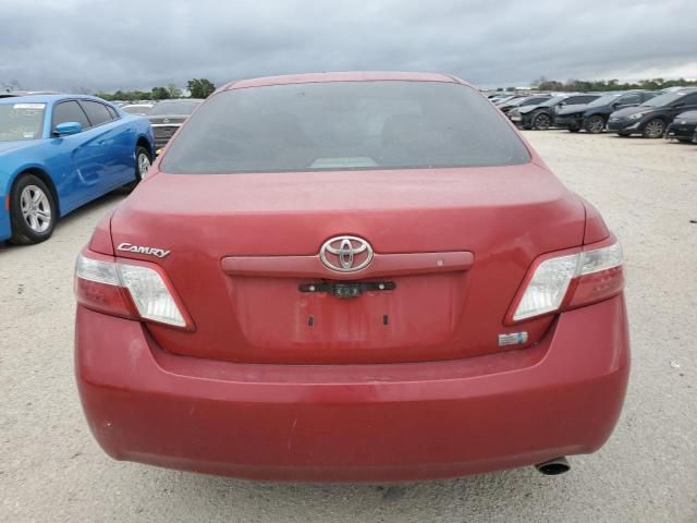 2009 Toyota Camry Hybrid