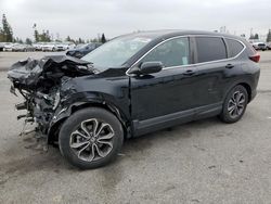 Honda cr-v exl salvage cars for sale: 2020 Honda CR-V EXL