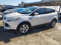 Vehiculos salvage en venta de Copart Riverview, FL: 2013 Ford Escape SE