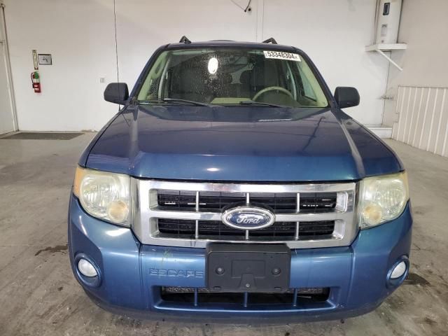 2009 Ford Escape XLT