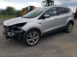 Salvage cars for sale at Chambersburg, PA auction: 2013 Ford Escape Titanium
