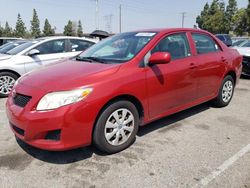 Salvage cars for sale at Rancho Cucamonga, CA auction: 2009 Toyota Corolla Base