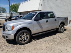 Salvage cars for sale from Copart Blaine, MN: 2014 Ford F150 Supercrew