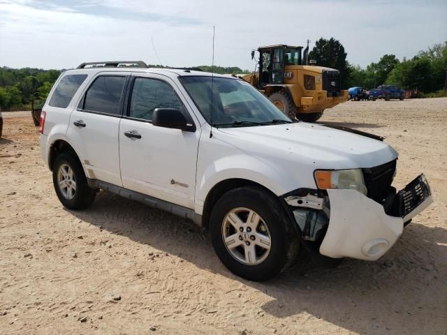 2010 Ford Escape Hybrid