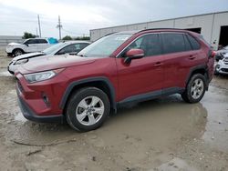 Salvage cars for sale at Jacksonville, FL auction: 2019 Toyota Rav4 XLE