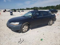 Salvage cars for sale at New Braunfels, TX auction: 2002 Honda Accord EX