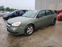 Salvage cars for sale at Lawrenceburg, KY auction: 2005 Chevrolet Malibu Maxx LS