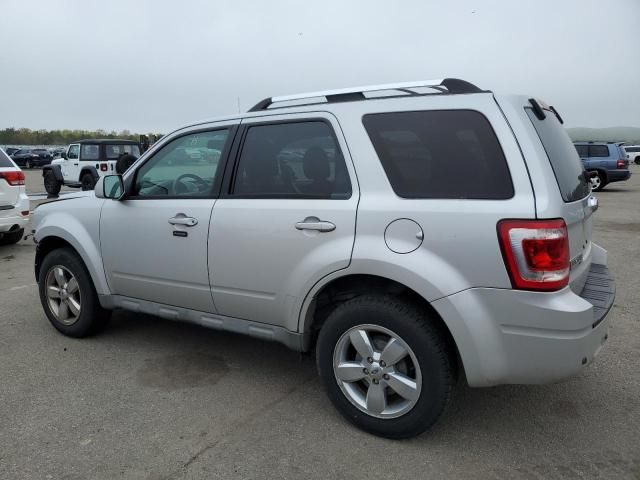 2009 Ford Escape Limited