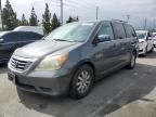 2008 Honda Odyssey EXL