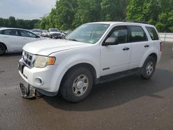 Salvage cars for sale at Glassboro, NJ auction: 2008 Ford Escape XLS