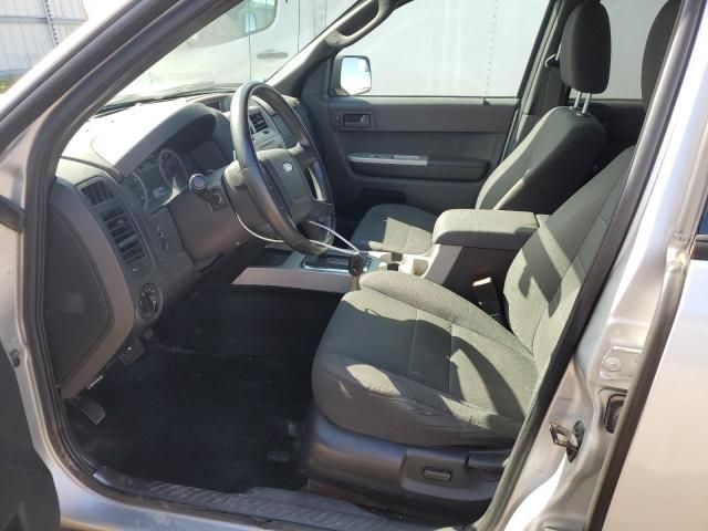 2010 Ford Escape XLT