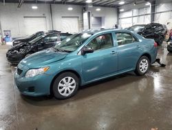 Toyota salvage cars for sale: 2010 Toyota Corolla Base