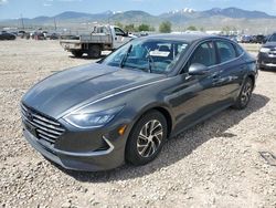 Carros salvage a la venta en subasta: 2022 Hyundai Sonata Hybrid