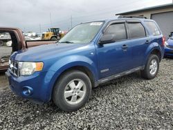 Salvage cars for sale at Eugene, OR auction: 2008 Ford Escape XLT