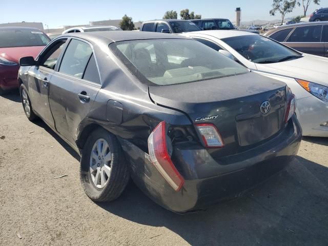 2007 Toyota Camry Hybrid