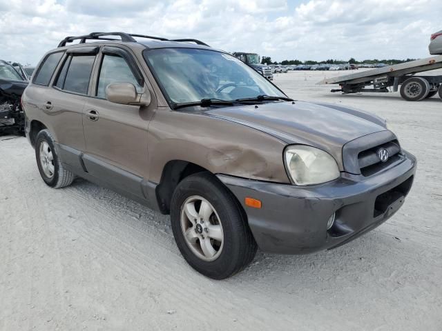 2005 Hyundai Santa FE GLS