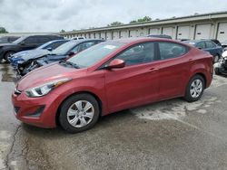 Salvage cars for sale from Copart Louisville, KY: 2016 Hyundai Elantra SE