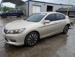 Salvage cars for sale from Copart Lebanon, TN: 2013 Honda Accord EXL