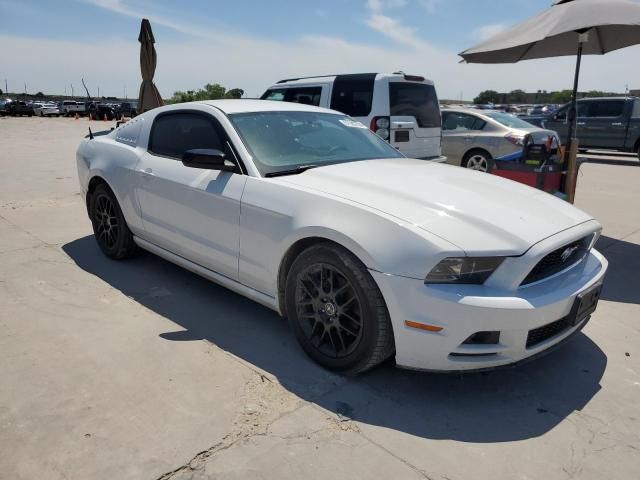 2014 Ford Mustang