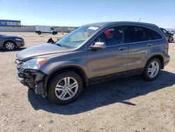 Salvage cars for sale at Greenwood, NE auction: 2010 Honda CR-V EXL