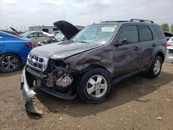 Salvage cars for sale from Copart Elgin, IL: 2011 Ford Escape XLT
